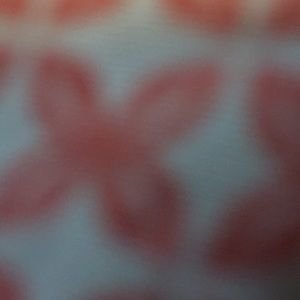 Meet your Posher, Paiton